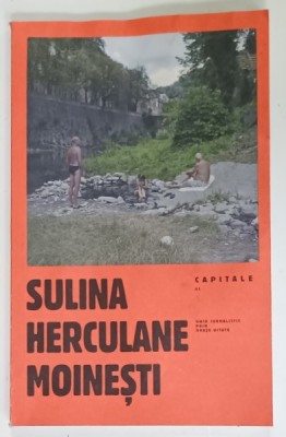 SULINA , HERCULANE , MOINESTI , GHID JURNALISTIC PRIN ORASE UITATE , creat de SCENA 9 , PREZINTA HALOURI DE APA * , ANII &amp;#039;2000 foto