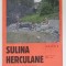 SULINA , HERCULANE , MOINESTI , GHID JURNALISTIC PRIN ORASE UITATE , creat de SCENA 9 , PREZINTA HALOURI DE APA * , ANII &#039;2000