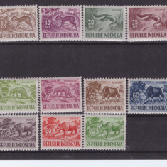 50-INDONEZIA 1956-1958-FAUNA-ANIMALE-Serie completa de 15 timbre nestampilate,NH