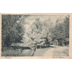Craiova. Parcul Bibescu (circulata 1931)