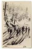 Fotografie Țapinari, Alb-Negru, Romania 1900 - 1950, Arta