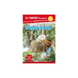 DK Super Readers Level 2 Sassy Sloth