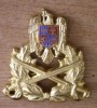 QW14 - Emblema militara / cuc - Uscat - piesa de colectie