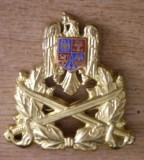 QW14 - Emblema militara / cuc - Uscat - piesa de colectie