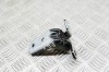 Balama ușă dreapta față HYUNDAI TUCSON NX4E, NX4A 2021 OEM: A046057 15233034