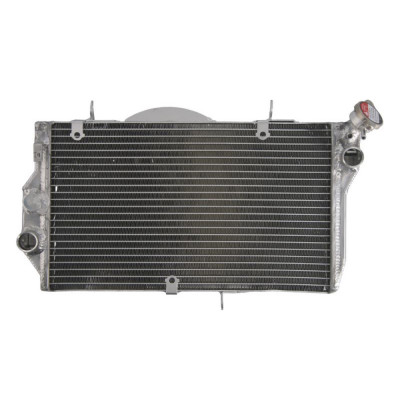 Radiator Racire HONDA CBR 1100XX an 1999-2007 APA Blackbird foto