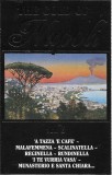 Caseta Audio Compilatie The Gold Of Napoli Vol. 3 Bebas Record Italia Stare Foarte Buna