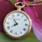 CEAS DIANTUS , MADE IN SWISS , MECANIC , DIAMETRUL 3 CM