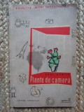 PLANTE DE CAMERA-PAUL DABIJA