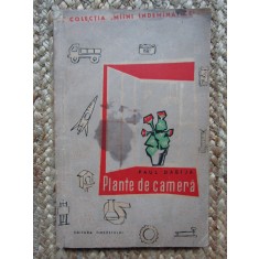 PLANTE DE CAMERA-PAUL DABIJA