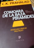 COMOARA DE LA BAZA PIRAMIDEI C. K. Prahalad