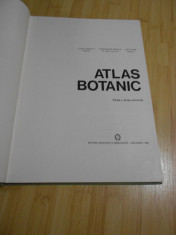 LUCIA POPOVICI--ATLAS BOTANIC 1993 INTREBATI DE STOC, foto