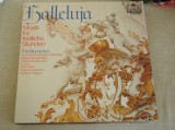 HALLELUJA - Compilatie Muzica Clasica - Vinil Klassik Auslese