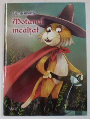 CE NE INVATA MOTANUL INCALTAT , 2023 foto