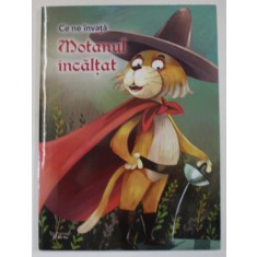 CE NE INVATA MOTANUL INCALTAT , 2023