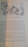 ACESTE UIMITOARE PLANTE SI ANIMALE , 1988 de TUDOR OPRIS
