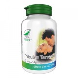 TRIBULUS TERRESTRIS 60CPS