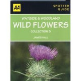 Wayside and Woodland Wild Flowers Collection 3