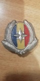 QW14 - Emblema militara - anii 1990 - servicii - piesa de colectie
