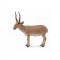 Figurina Antilopa Saiga L Collecta