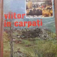 Viitor In Carpati - Radu Rey ,528633