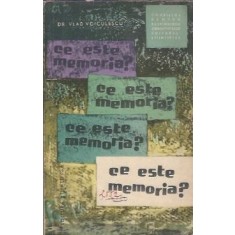 Ce este memoria? - Vlad Voiculescu