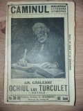 Ochiul lui Turculet- Emil Garleanu