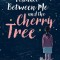 The Distance Between Me and the Cherry Tree