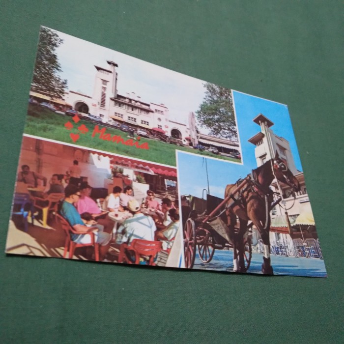 CARTE POSTALA MAMAIA NECIRCULATA