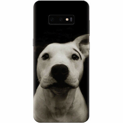 Husa silicon pentru Samsung Galaxy S10 Lite, Funny Dog foto