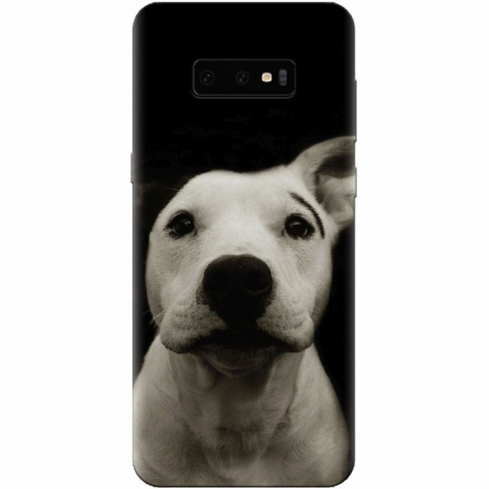 Husa silicon pentru Samsung Galaxy S10 Lite, Funny Dog