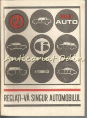 Reglati-va Singur Automobilul - Paul Teodorescu foto