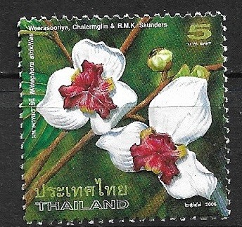 B2099 - Tailanda 2006 - Flora neuzat,perfecta stare
