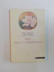 DAO CALEA CA O CURGERE DE APA de ALAN WATTS foto
