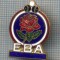 AX 321 INSIGNA BOWLING- ,,E.B.A.&quot;- ELITE BOWLING ASSOCIATION