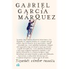 Tizenk&eacute;t v&aacute;ndor novella - Gabriel Garc&iacute;a M&aacute;rquez