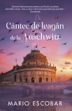 Cumpara ieftin Cantec De Leagan De La Auschwitz , Mario Escobar - Editura RAO Books