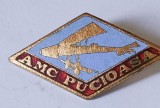 INSIGNA AMC PUCIOASA AVION AVIATIE PILOT AVIATOR ( CITITI DESCRIEREA )