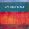 NIV, Value Outreach Bible, Paperback