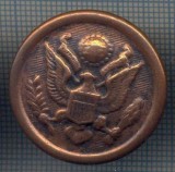 AX 1160 NASTURE METALIC VECHI-ARMATA STATELOR UNITE ALE AMERICII-PT COLECTIONARI