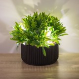 Ghiveci Decorativi Ceramic Negru cu Plantă Artificială și Iluminat LED, CMCLASS