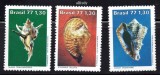 BRAZILIA 1977, Fauna marina, Scoici, Cochilii, MNH, serie neuzata, Nestampilat