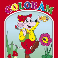 Invatam sa Coloram |