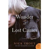 The Wonder of Lost Causes
