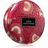 VOLUSPA Japonica Foraged Wildberry lumanare 340 g