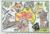 bnk cp Fauna - Fauna australiana - necirculata