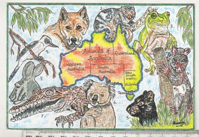 bnk cp Fauna - Fauna australiana - necirculata foto
