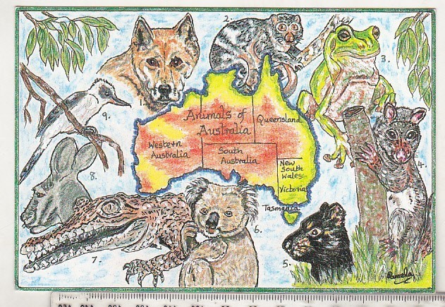 bnk cp Fauna - Fauna australiana - necirculata