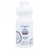 Balsam pentru Parul Vopsit, Byphasse, Family Fresh Delice, cu Extract de Cocos, Descurca si Protejea