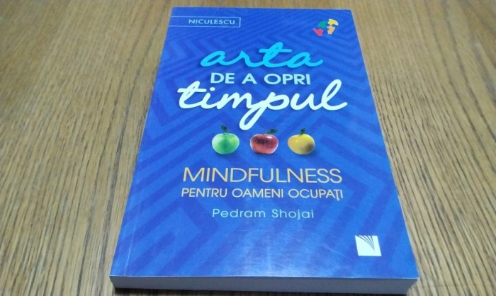 ARTA DE A OPRI TIMPUL - Pedram Shojal - Editura Niculescu, 2019, 296 p.